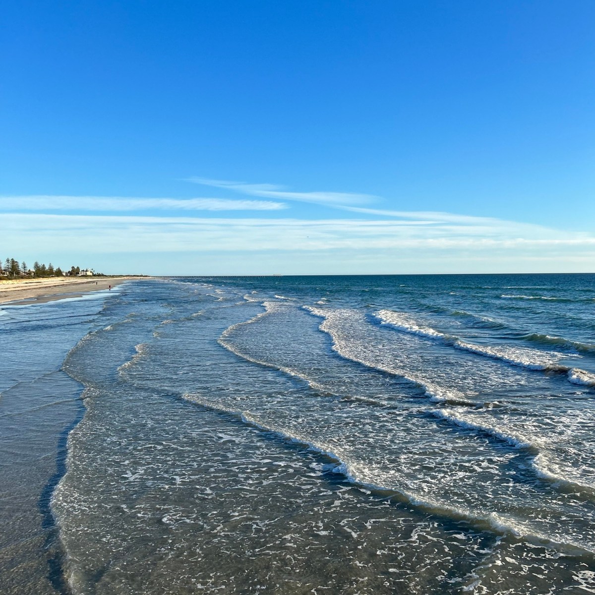 Something About the&nbsp;Ocean